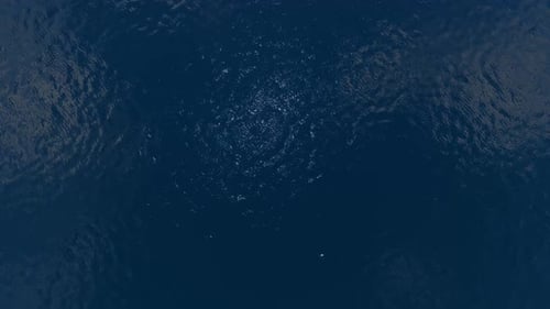 Dynamic Blue Water Surface Ripple Animation
