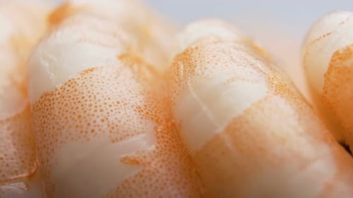 Close Look of Dotted Segments of Prawn Abdomen. Shrimp Food Background
