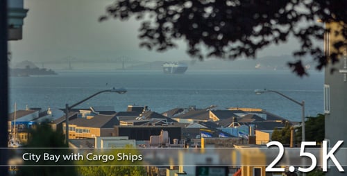 City Bay with Cargo Ships
