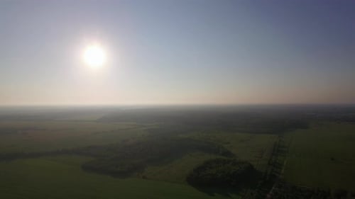 Aerial flight above the agricultural fields with green grass, Russia