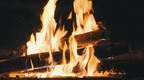 Bonfire Burning at Night in Slow Motion. Flames of Campfire at Nature.