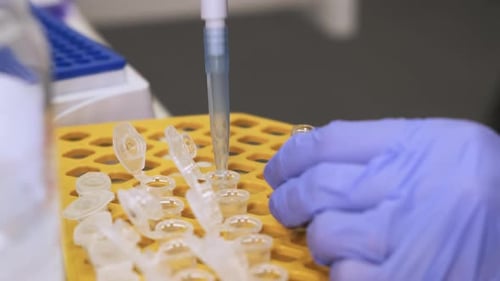 Lab Technician Dispenses Liquid into Plastic Vials