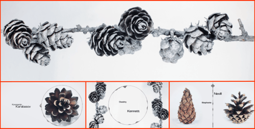 Minimalist Text Titles with Dynamic Audio Waveform Lines