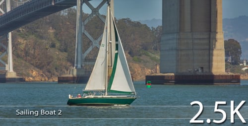 Sailboat Sailing Under Large Bridge on Sunny Day