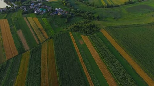 Green Fields Panorama. Top Aerial View