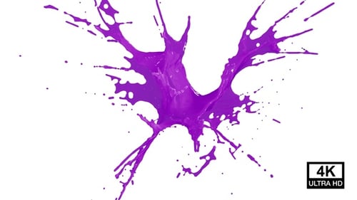 Vibrant Purple Liquid Paint Splash Reveal