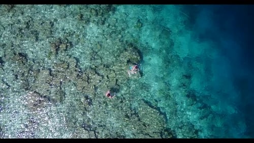 Aerial view texture of beautiful shore beach wildlife by blue ocean and white sandy background of a