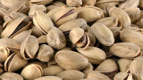 The Pistachio Macro View 1