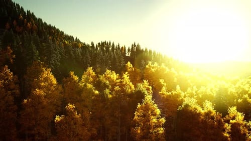 Bright Sunset in the Mountains