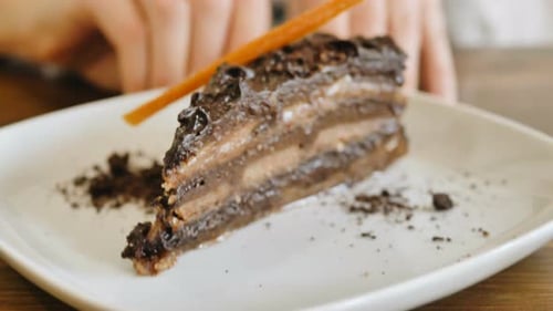 Delicious Chocolate Cake Dessert Close Up