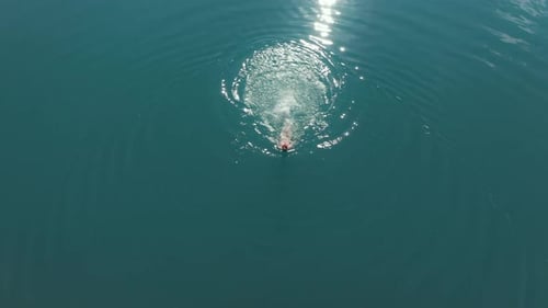 Brave Woman Swimming in Ice Cold Mountain Blue Lake