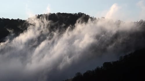 Nubes y aire húmedo condensándose en el valle boscoso