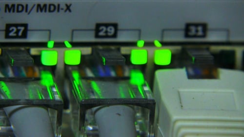 Server Ports Blinking Green Lights Macro Shot