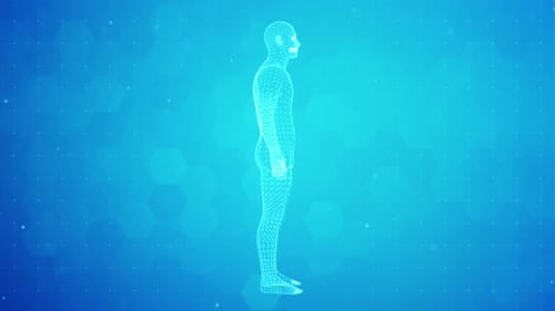 Digital Wireframe Human Body Scan for Medical and Scientific Projects
