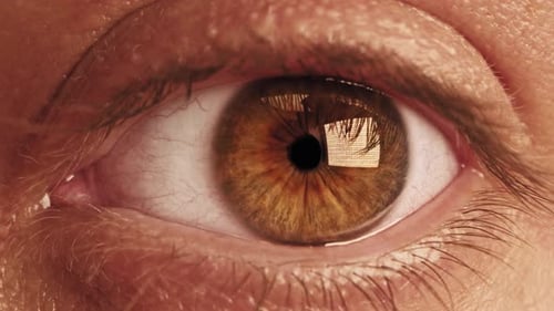 Gros plan Macro Eye Belle Iris Brun Beauté Naturelle