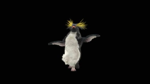 Penguin Dancing HD