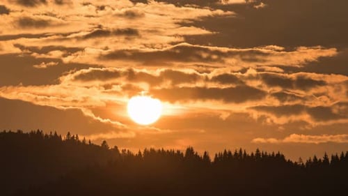 Sunset Over Forest