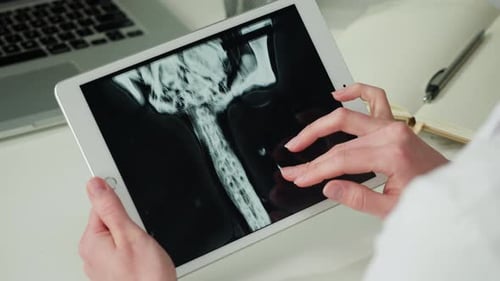 Arzt Tierarzt untersucht Vogelskelett Röntgenaufnahme