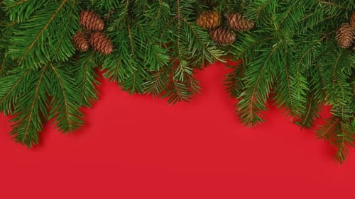 Evergreen Boughs with Pinecones on Red Background