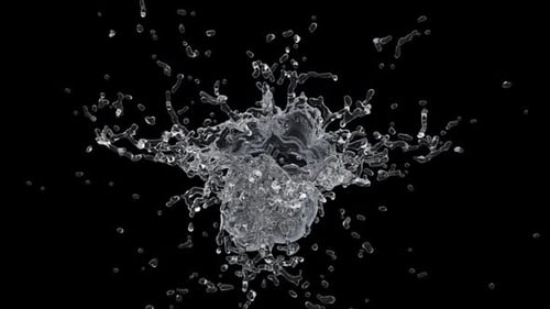 Splash