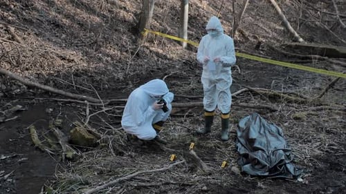 Forensic specialists working in the forest. Crime scene and police concept.