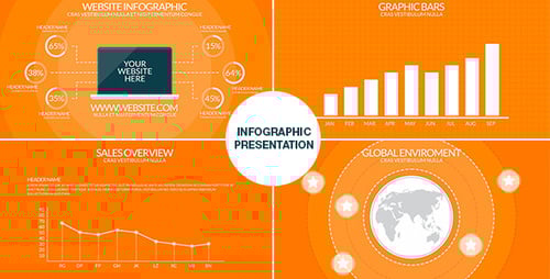 Infographic Presentation