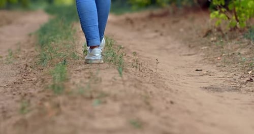 Closeup Feet in Shoes Walking on a Sandy Path