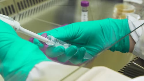 Laboratory Procedure Using Pipette in Scientific Setting