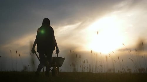 Silhouetted Woman Pushing Wheelbarrow at Sunset