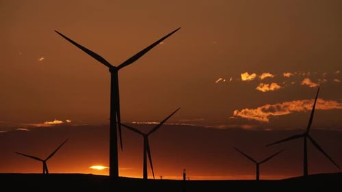 Windmills or Wind Turbine in Sunrise Light