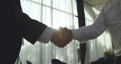 Business Handshake Agreement Indoors