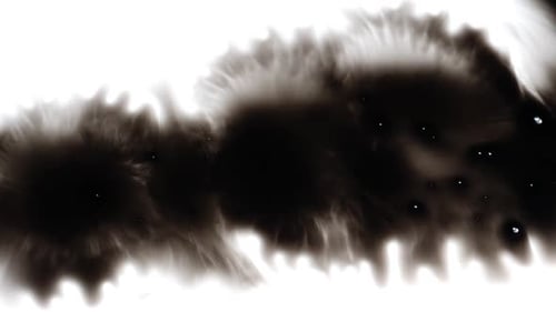 Spreading Ink Creates Organic Abstract Patterns