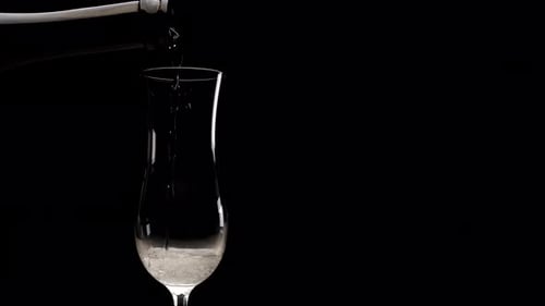 Sparkling Champagne Poured into a Flute Glass