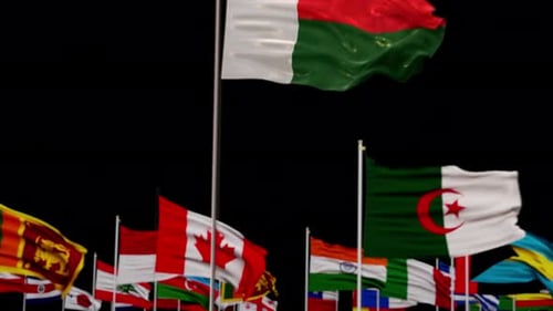 Madagascar Flag Waving in Realistic International Setting