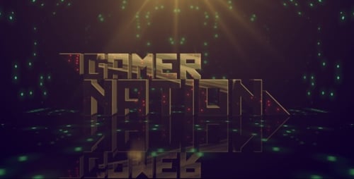 Gamer Nation