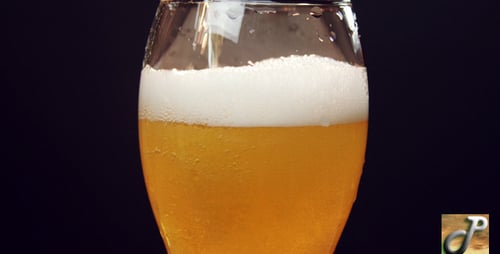 Light Beer Pouring Into a Glass