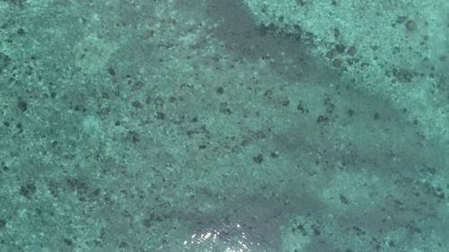 Sea Top View