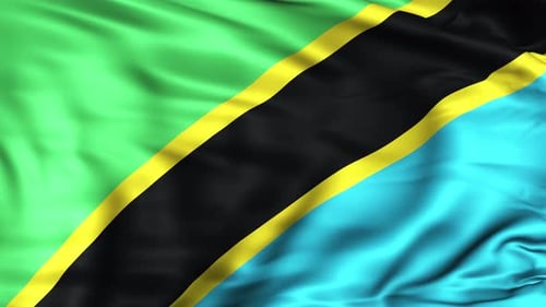 Realistic Waving Flag of Tanzania