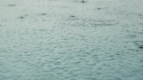 Drops of Rain Fell on the Large Puddle Strong Ripples Raindrops Closeup in Slow Motion