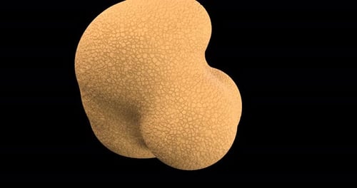 Abstract Organic Fluid Cell Division Animation