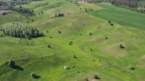 A beautiful flight in the spring on a quadcopter over a field with green grass.
