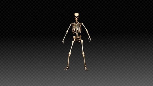 3D Animated Dancing Skeleton with Alpha Channel