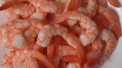 Pile of Cooked Pink Shrimp on a Plate