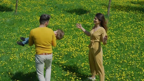Happy Family Playing in a Sunny Field