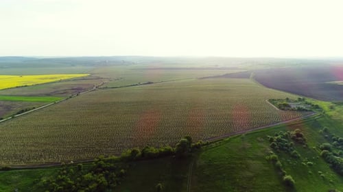Aerial View Of Agricultural Land In Europe With Orchards And Fields.