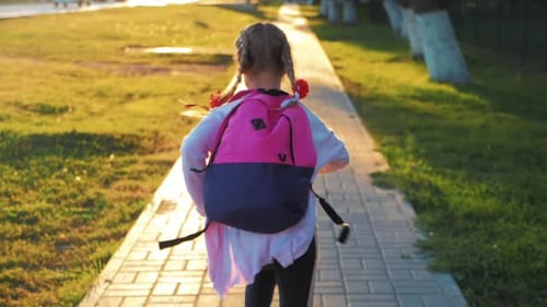 Zurück zur Schule