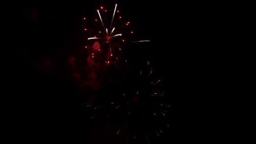 Fireworks Exploding in the Night Sky