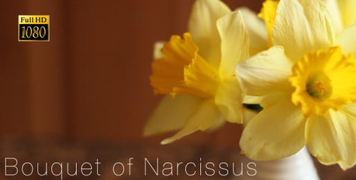 Blumenstrauß aus Narzisse 2