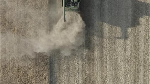 Combine Harvesting Wheat Top View of a Wheatfield