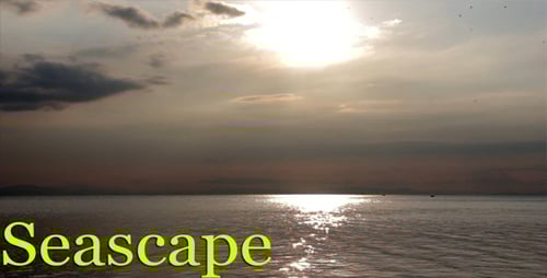 Sunlight Reflecting on the Ocean Waters at Sunset